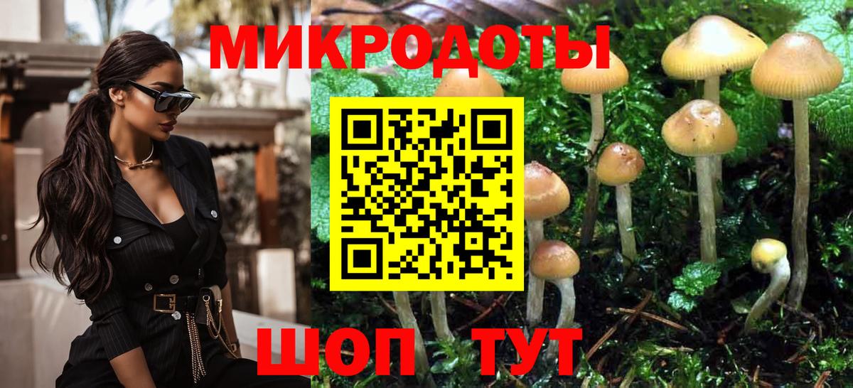 Псилоцибиновые грибы MAGIC MUSHROOMS Видное
